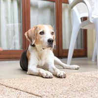 Davide Testa's Photo