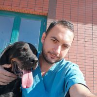 atakan Cortu's Photo