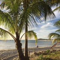 Natalie Rothaug's Photo