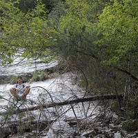 alberto magagna的照片