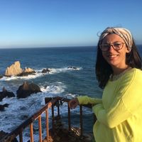 truica bianca的照片