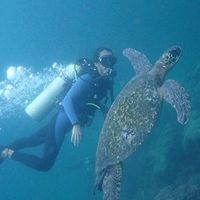 Andres  Ortiz's Photo