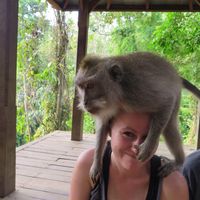 Фотографии пользователя Christine Clinton