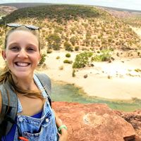 Céline Maalouf的照片