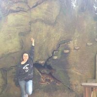 Paradise Martinez Graff's Photo