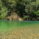 Visitando una comunidad indígena Emberá 's picture