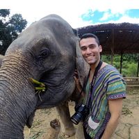 David Heifitz's Photo