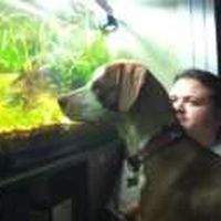 John Willmon的照片