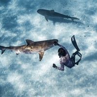 david langlois的照片