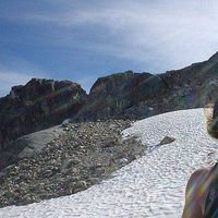 sara Badiei的照片