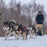 Fotos de Renato Sperandio Rodrigue
