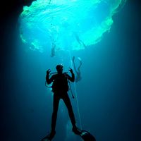 Nuno Pereira's Photo