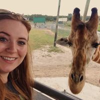 Sophie Millard的照片