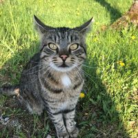 Rain Carpio的照片