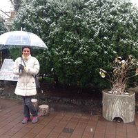 Fotos de Melissa Zorogastua