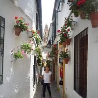 Michie MORIGUCHI's Photo