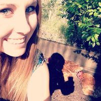 Ali McDonald的照片