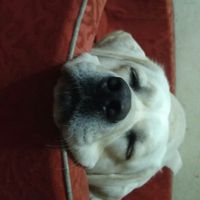 Photos de Abhishek Bhandari