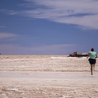 Alfredo Freddy的照片