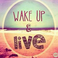 Photos de Alaa Ibrahim