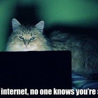 Photos de Laurie Rebbache