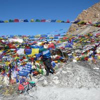 Laura Mechling的照片