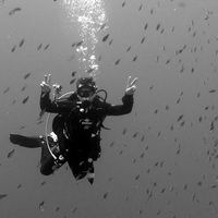 Photos de Nathan van der Kruk