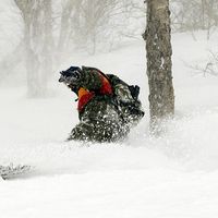 Christopher Abbott's Photo