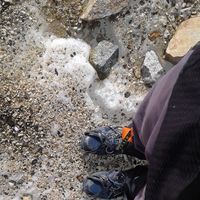 José Bustamante's Photo