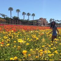 Naveena Kapur's Photo