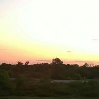 Joshua Roebuck的照片