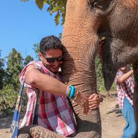 Fotos de Rafael SOare