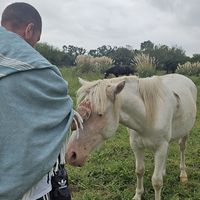 Andres Arakelian's Photo