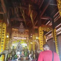 Luca Pisacane的照片