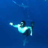 Le foto di Antoine Seymour