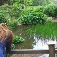 Zdjęcia użytkownika Elham Safari