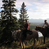 Nicki Varkevisser的照片