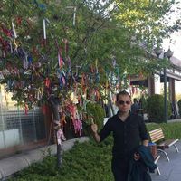 Tolgahan Budak's Photo