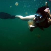 Sheng wen Horng的照片