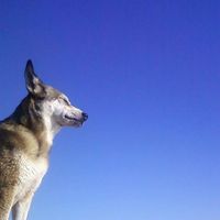 Jennyfer Pradet的照片