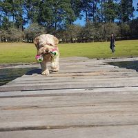 Jesus Farias's Photo