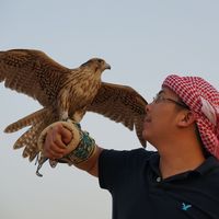 Fotos von Hồ Ngọc Lượng ( Victor )