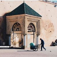 Фотографии пользователя halli mohamed