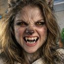 Творчий вечір в бучі's picture