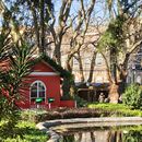 Morning Run Porto's picture