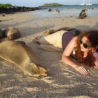 Alison Dimock的照片