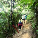 Hiking At Bukit Kiara trail's picture