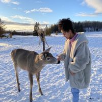 Marlena Goldberg's Photo