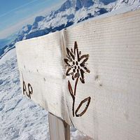 Sylvain Dossin's Photo