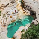 Trip to Paradise's picture